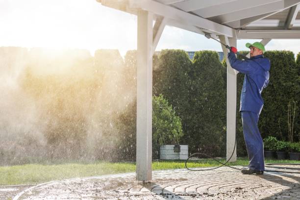 Best Roof Washing  in Burns Harbor, IN