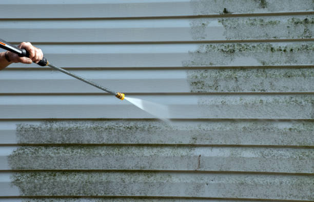 Best Gutter Cleaning  in Burns Harbor, IN